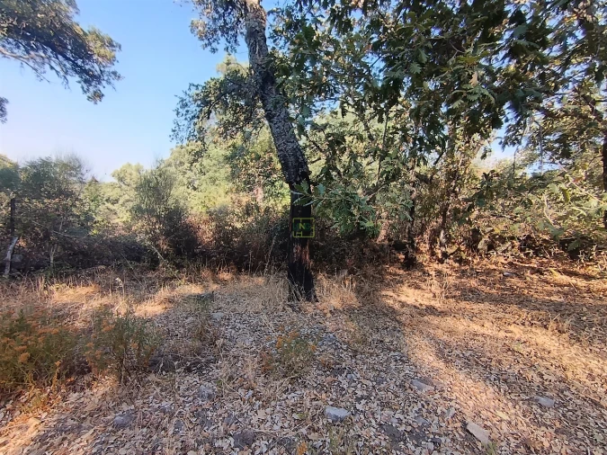 Terreno Agricola ou Rústico para Venda em Penamacor Foto 15