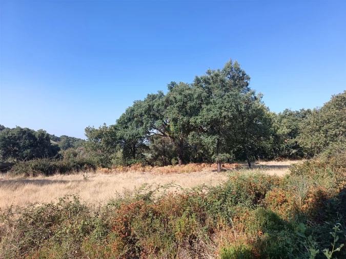 Terreno Agricola ou Rústico para Venda em Penamacor Foto 4