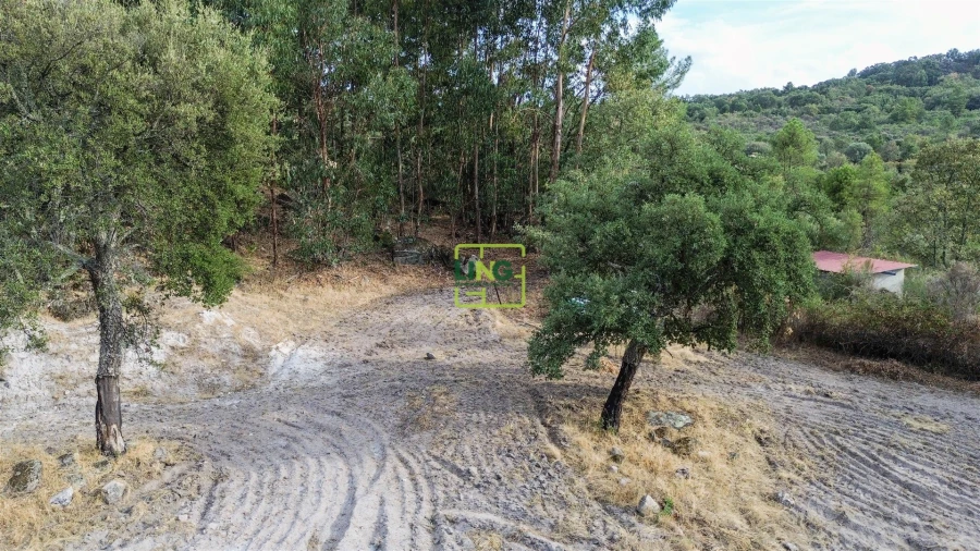Terreno Agricola ou Rústico para Venda em Penamacor Foto 60