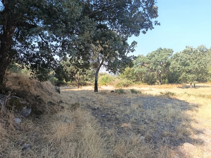Terreno Agricola ou Rústico para Venda em Penamacor Foto 5