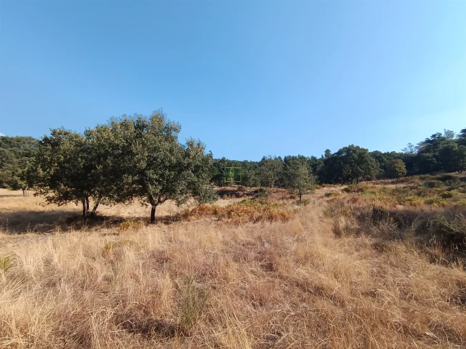 Terreno Agricola ou Rústico para Venda em Penamacor Foto 7