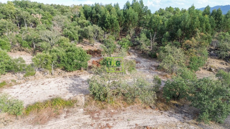 Terreno Agricola ou Rústico para Venda em Penamacor Foto 46