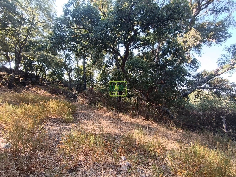 Terreno Agricola ou Rústico para Venda em Penamacor Foto 11