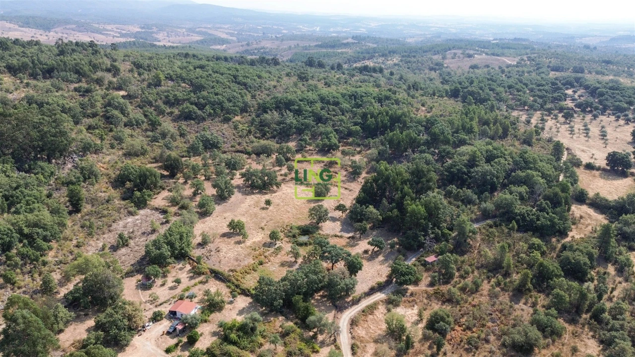 Terreno Agricola ou Rústico para Venda em Penamacor Foto 27