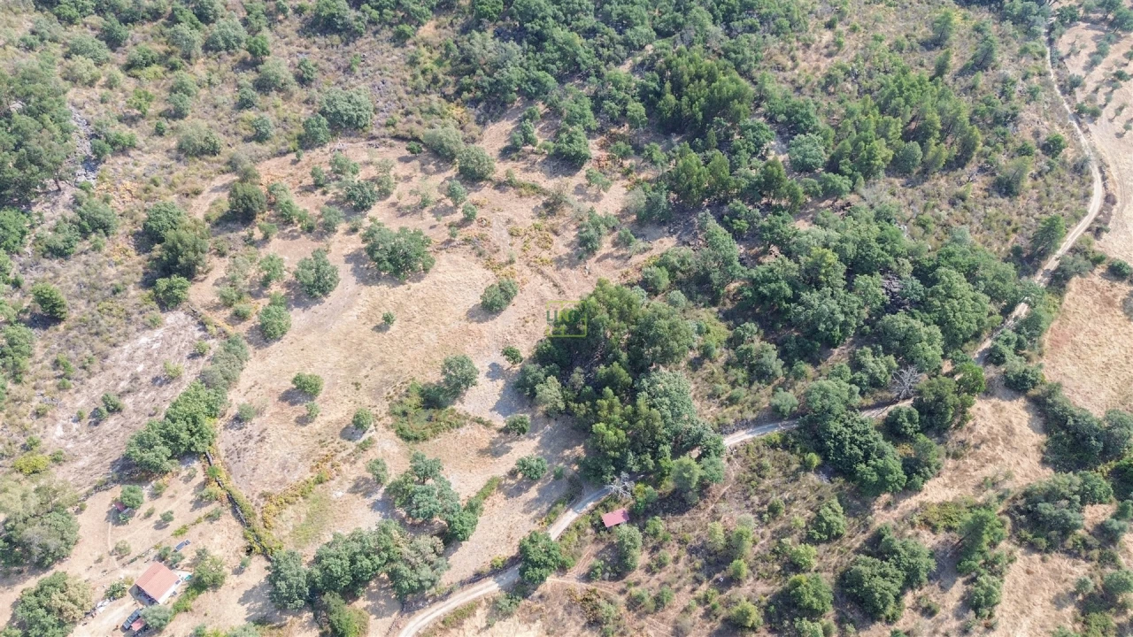 Terreno Agricola ou Rústico para Venda em Penamacor Foto 30