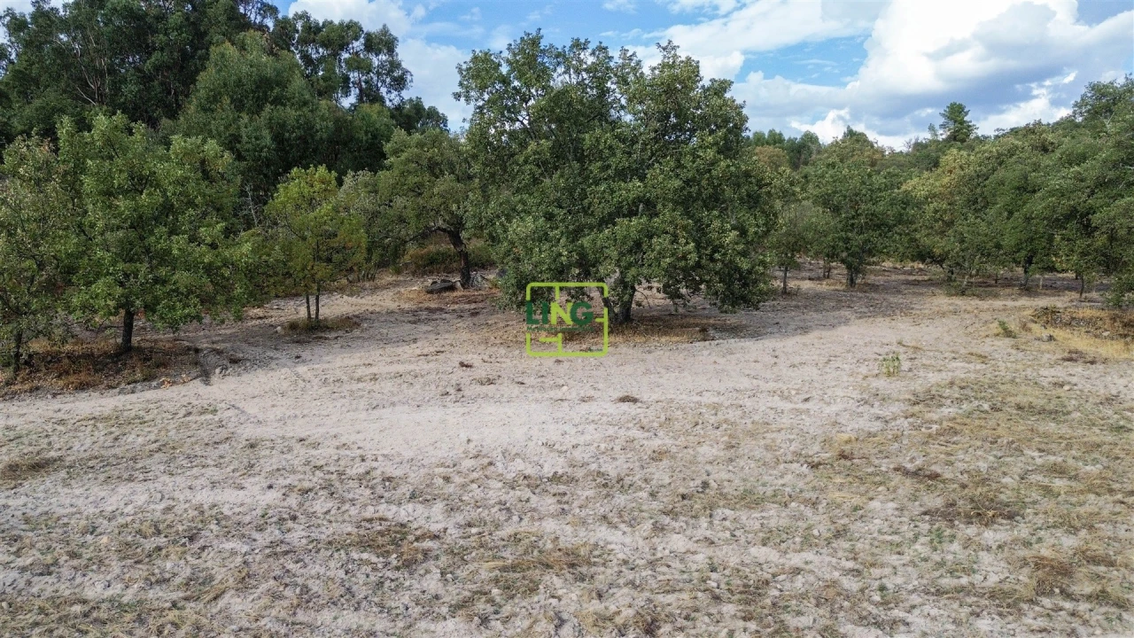 Terreno Agricola ou Rústico para Venda em Penamacor Foto 64