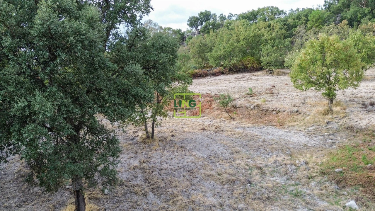 Terreno Agricola ou Rústico para Venda em Penamacor Foto 63