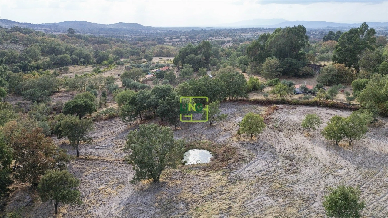 Terreno Agricola ou Rústico para Venda em Penamacor Foto 47