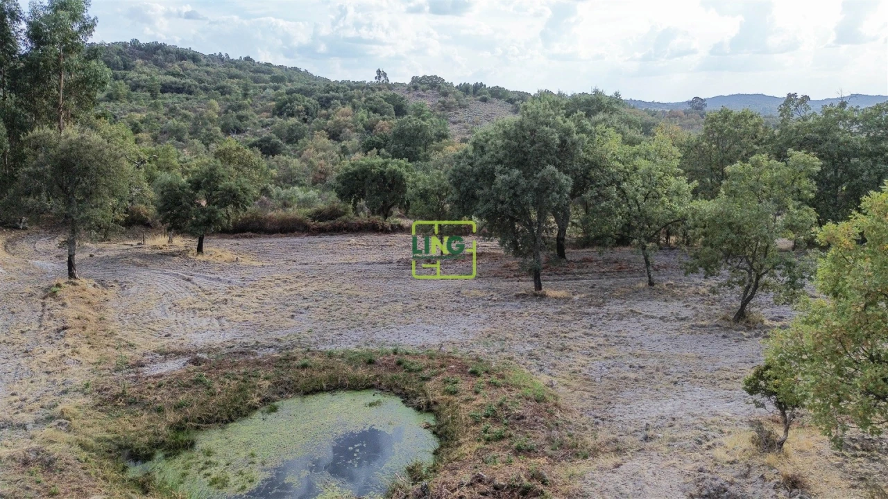Terreno Agricola ou Rústico para Venda em Penamacor Foto 58