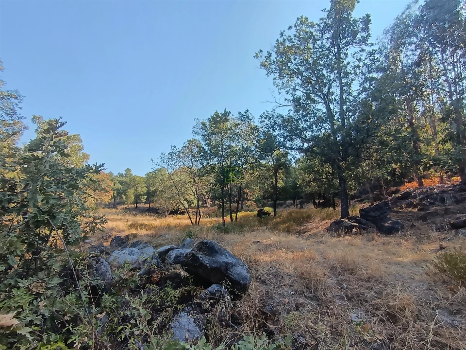 Terreno Agricola ou Rústico para Venda em Penamacor Foto 11