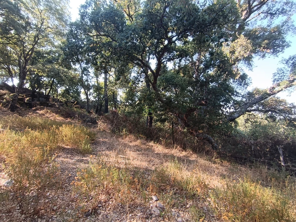 Terreno Agricola ou Rústico para Venda em Penamacor Foto 14
