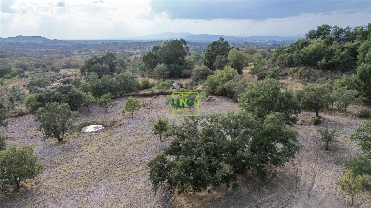Terreno Agricola ou Rústico para Venda em Penamacor Foto 51
