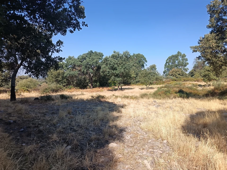 Terreno Agricola ou Rústico para Venda em Penamacor Foto 6