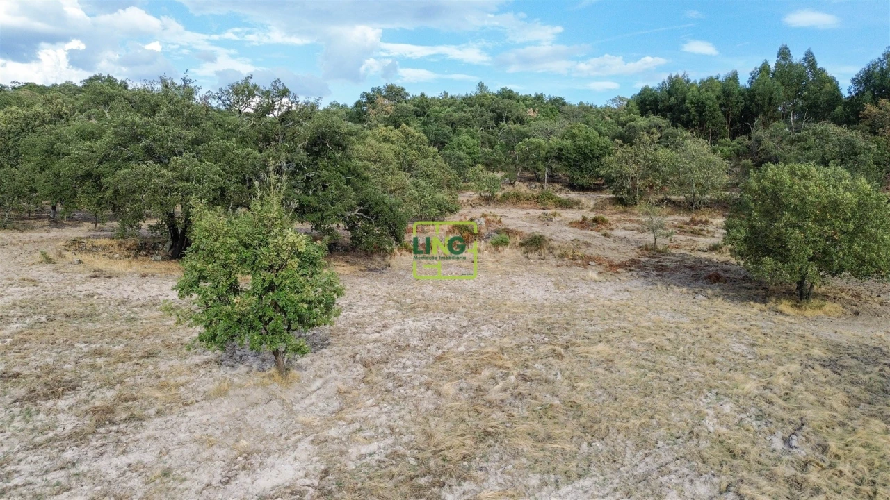 Terreno Agricola ou Rústico para Venda em Penamacor Foto 55