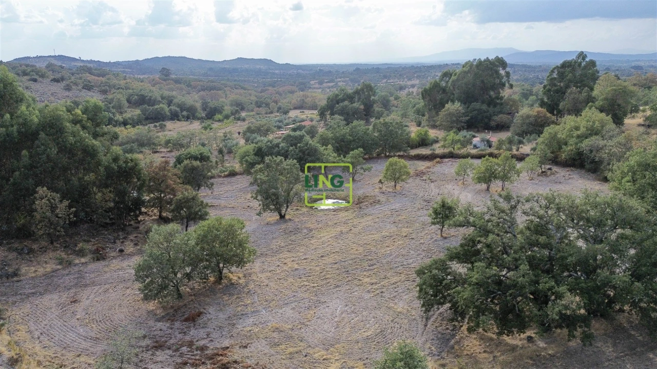 Terreno Agricola ou Rústico para Venda em Penamacor Foto 1