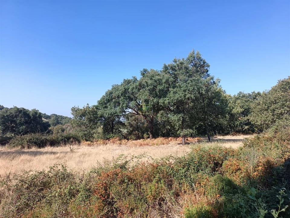 Terreno Agricola ou Rústico para Venda em Penamacor Foto 4