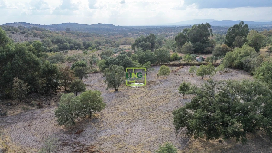 Terreno Agricola ou Rústico para Venda em Penamacor