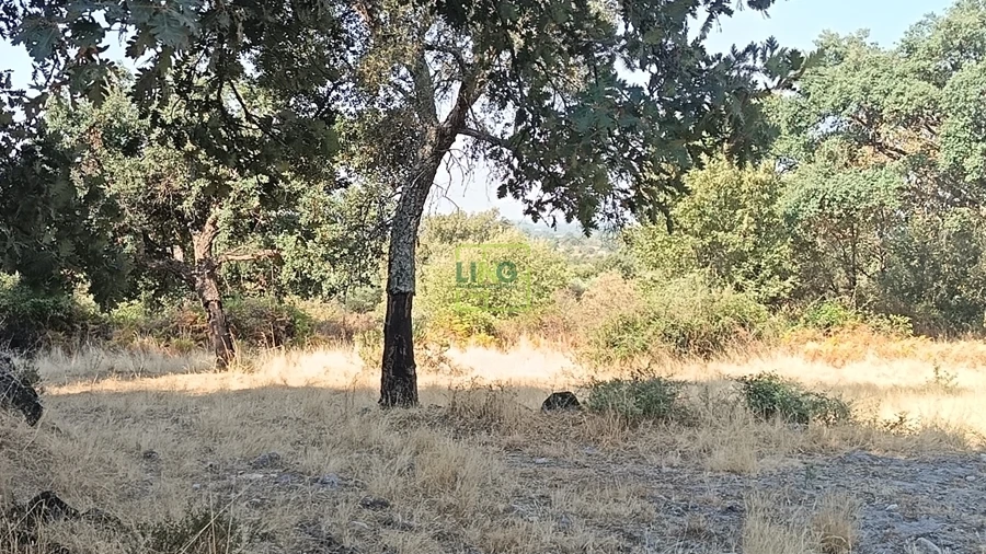 Terreno Agricola ou Rústico para Venda em Penamacor