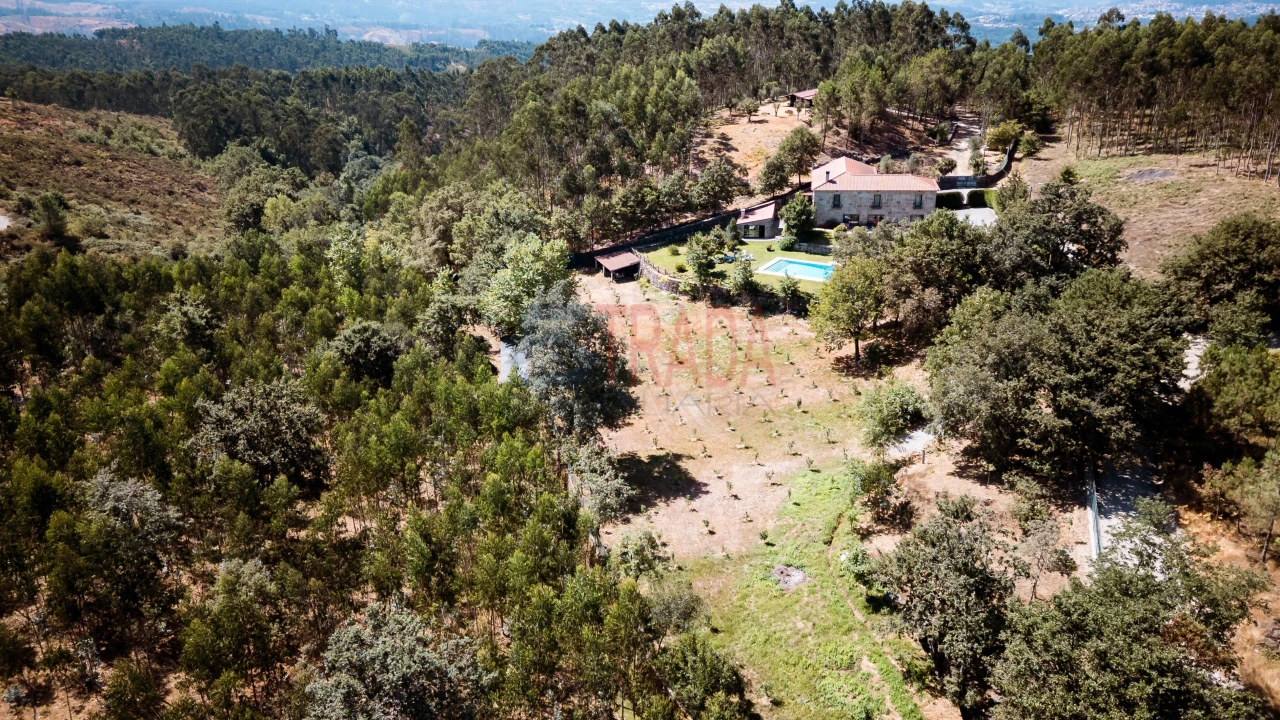 Quinta T6 para Venda em Ribeiros Foto 3