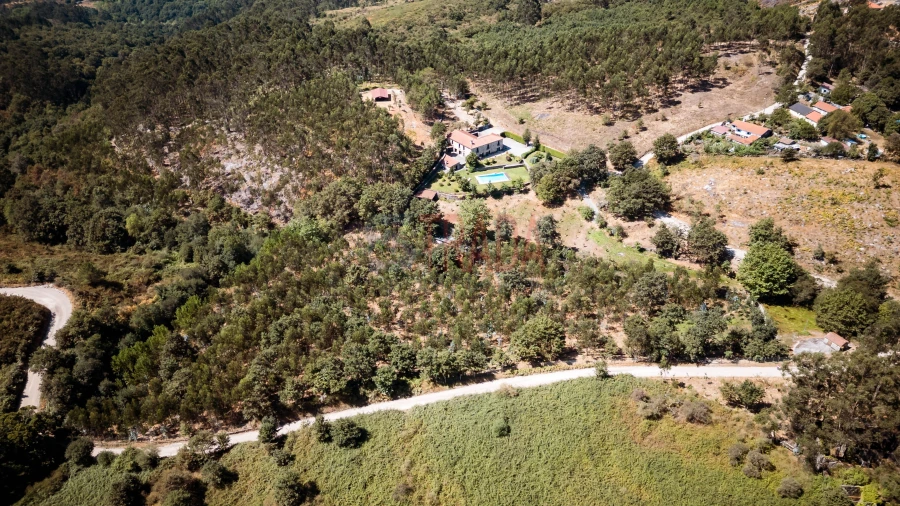 Quinta T6 para Venda em Ribeiros Foto 7