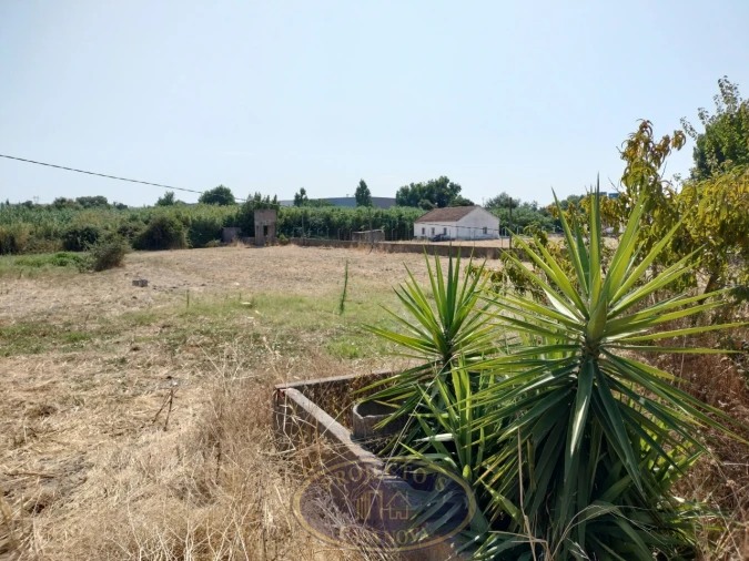 Terreno Misto para Venda em Sarilhos Grandes Foto 1