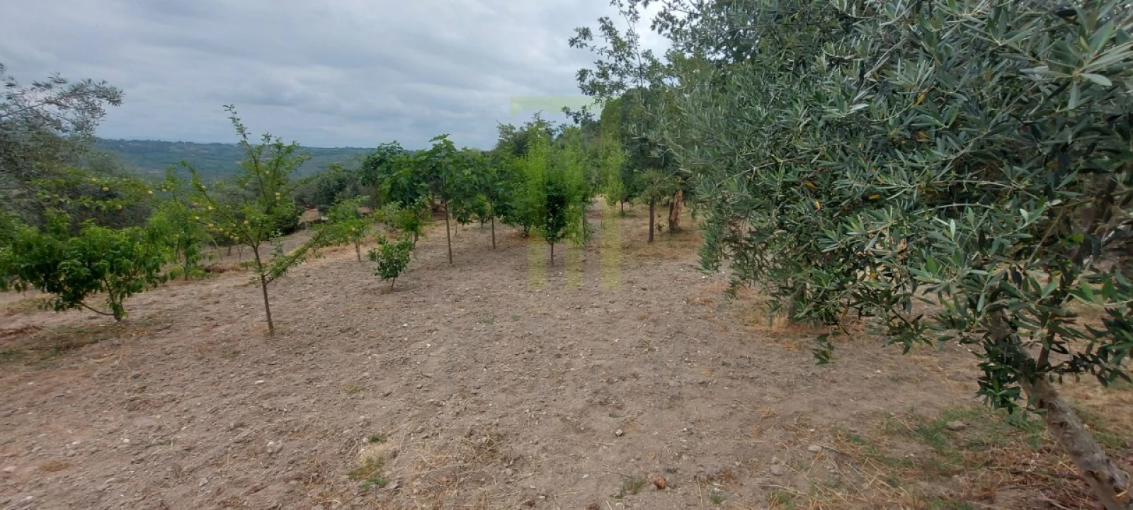 Quinta para Venda em Ervedal e Vila Franca da Beira Foto 37