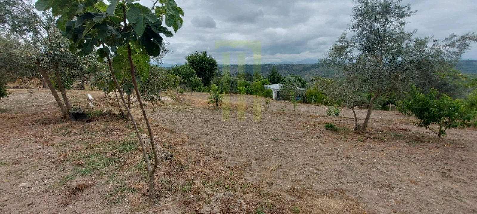 Quinta para Venda em Ervedal e Vila Franca da Beira Foto 40