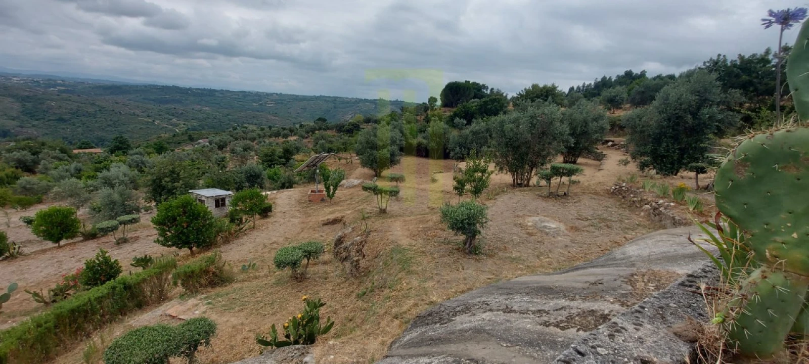 Quinta para Venda em Ervedal e Vila Franca da Beira Foto 41