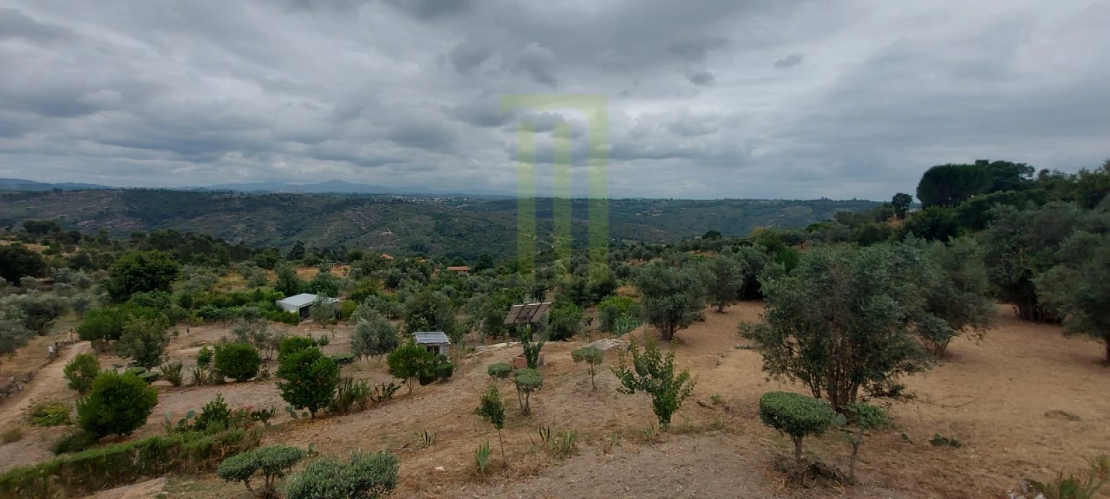 Quinta para Venda em Ervedal e Vila Franca da Beira Foto 43