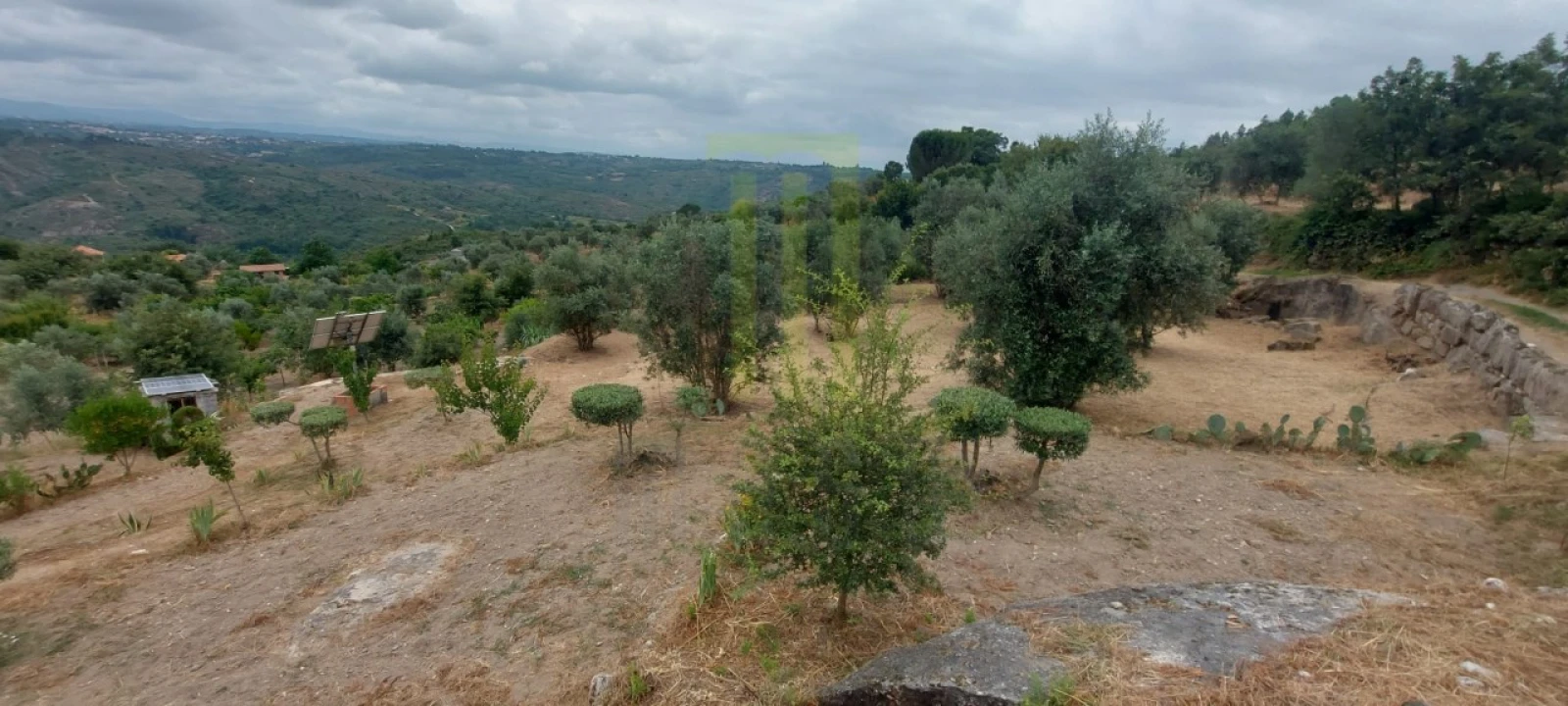 Quinta para Venda em Ervedal e Vila Franca da Beira Foto 46