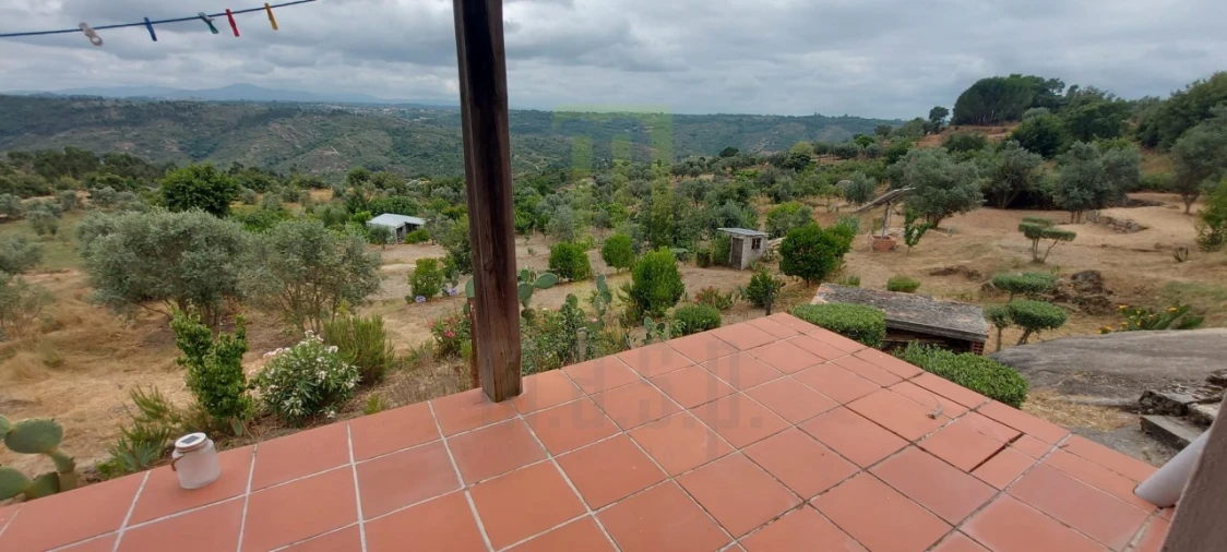 Quinta para Venda em Ervedal e Vila Franca da Beira Foto 21