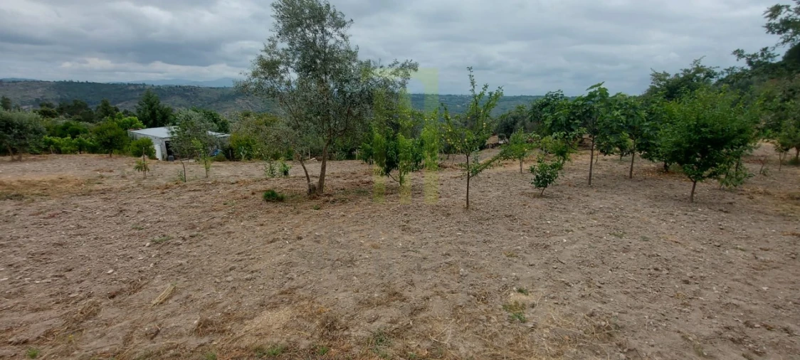 Quinta para Venda em Ervedal e Vila Franca da Beira Foto 42