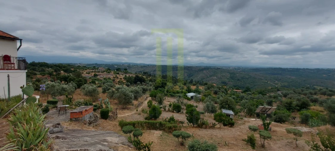 Quinta para Venda em Ervedal e Vila Franca da Beira Foto 44