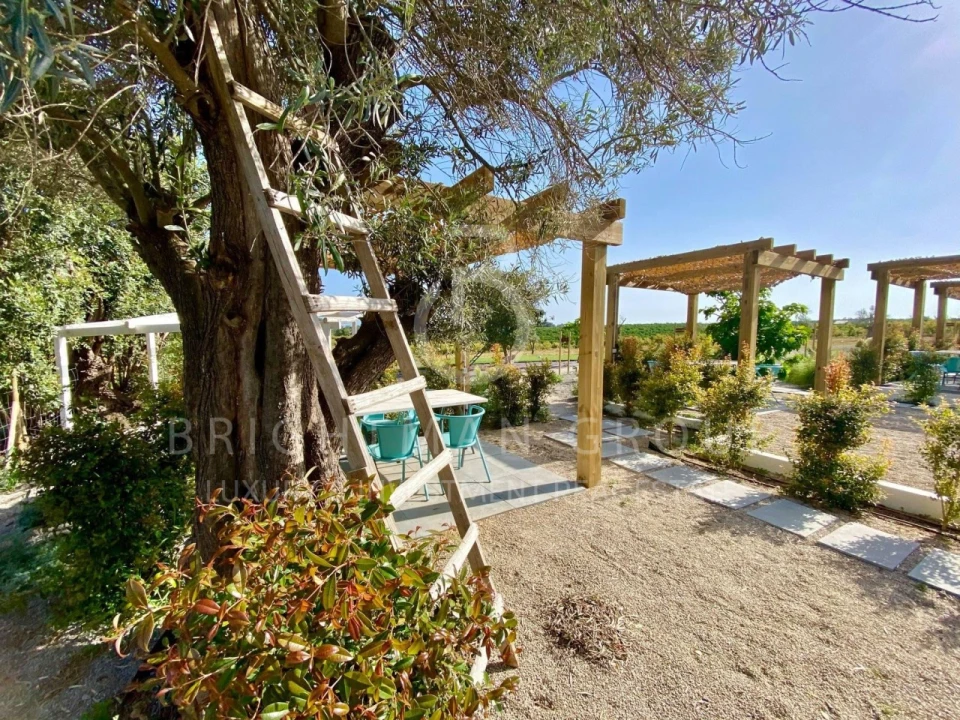 Quinta T7 para Venda em Tavira (Santa Maria e Santiago) Foto 6