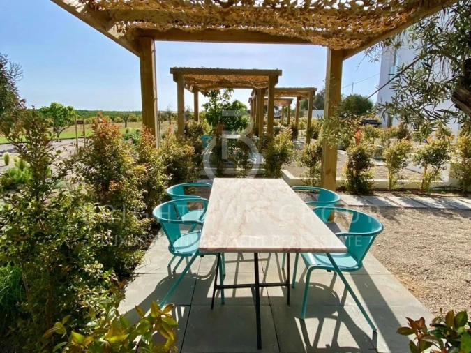 Quinta T7 para Venda em Tavira (Santa Maria e Santiago) Foto 4