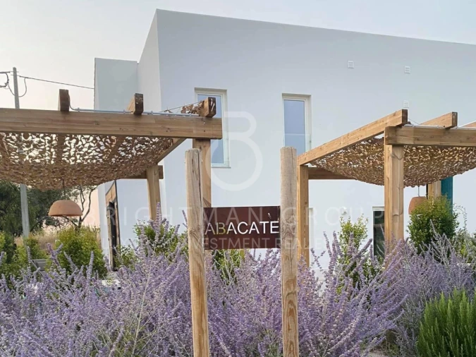 Quinta T7 para Venda em Tavira (Santa Maria e Santiago) Foto 14