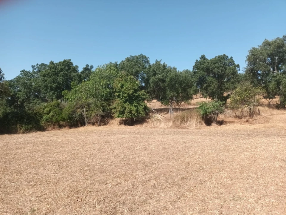 Moradia T4 para Venda em Alegrete Foto 3