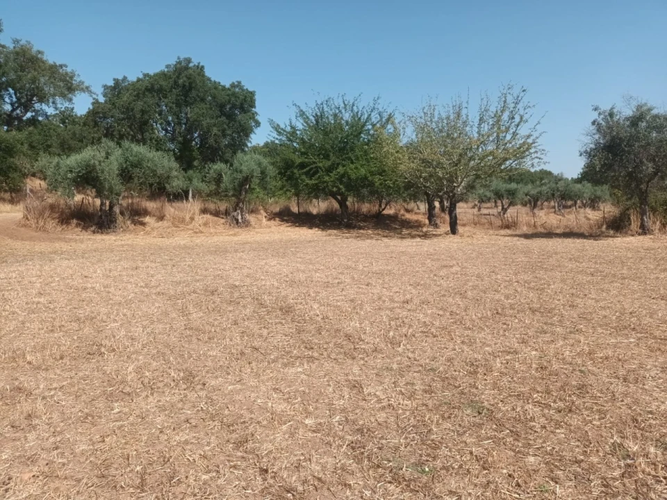 Moradia T4 para Venda em Alegrete Foto 4