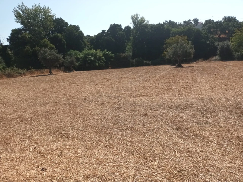 Moradia T4 para Venda em Alegrete Foto 7