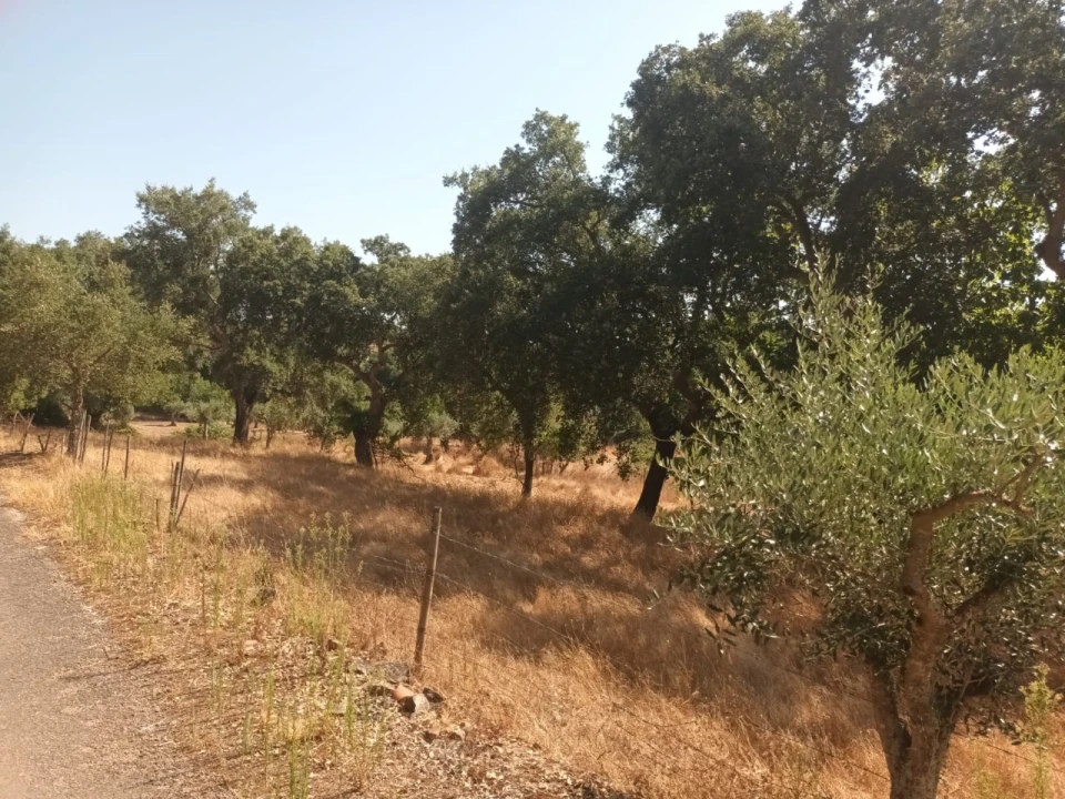 Moradia T4 para Venda em Alegrete Foto 14