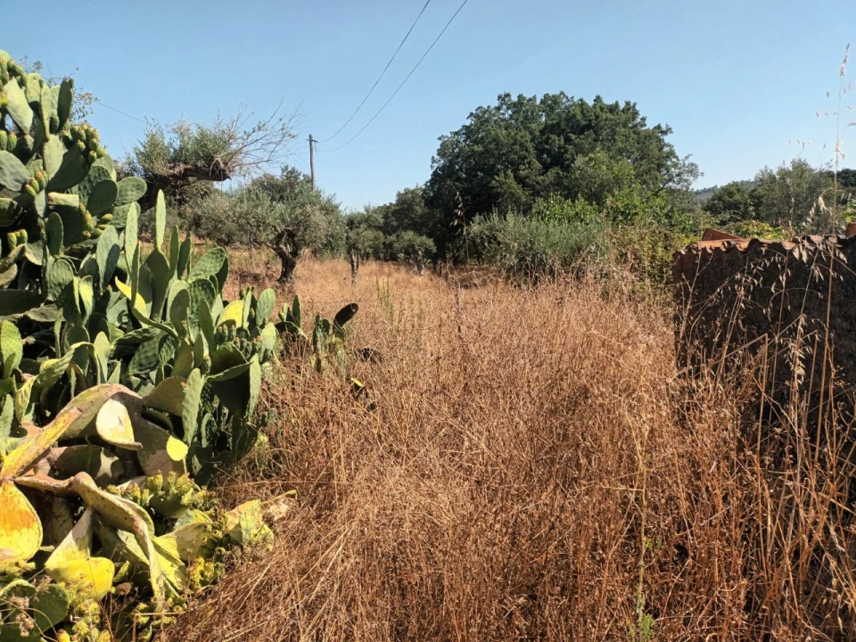 Moradia T4 para Venda em Alegrete Foto 16