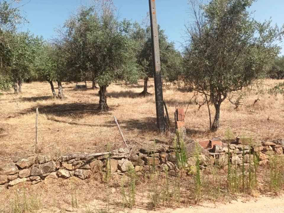 Moradia T4 para Venda em Alegrete Foto 19