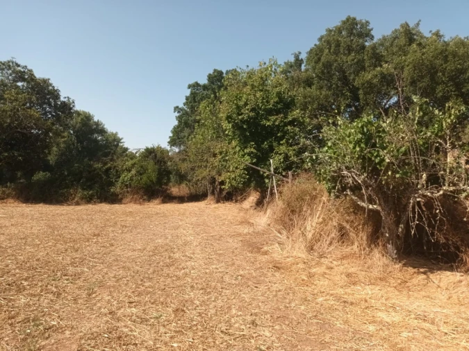 Moradia T4 para Venda em Alegrete Foto 5