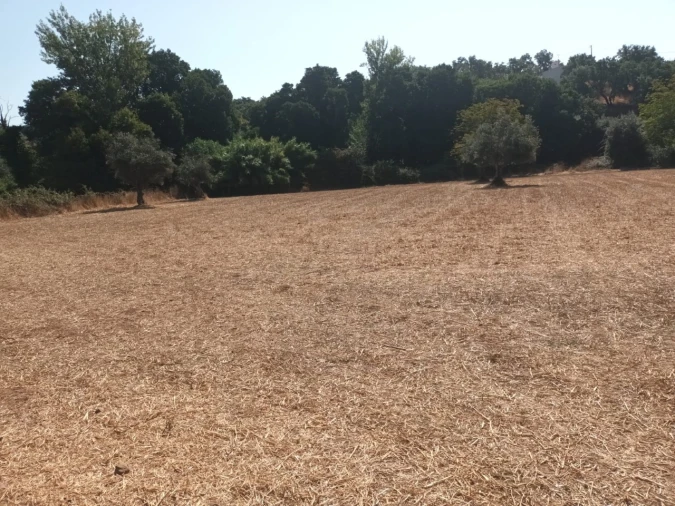 Moradia T4 para Venda em Alegrete Foto 7