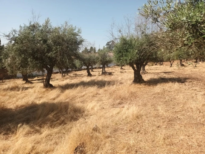 Moradia T4 para Venda em Alegrete Foto 11