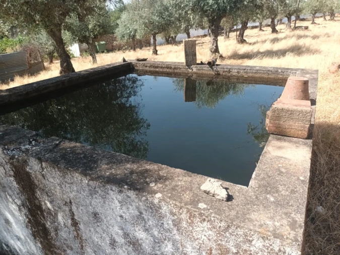 Moradia T4 para Venda em Alegrete Foto 12