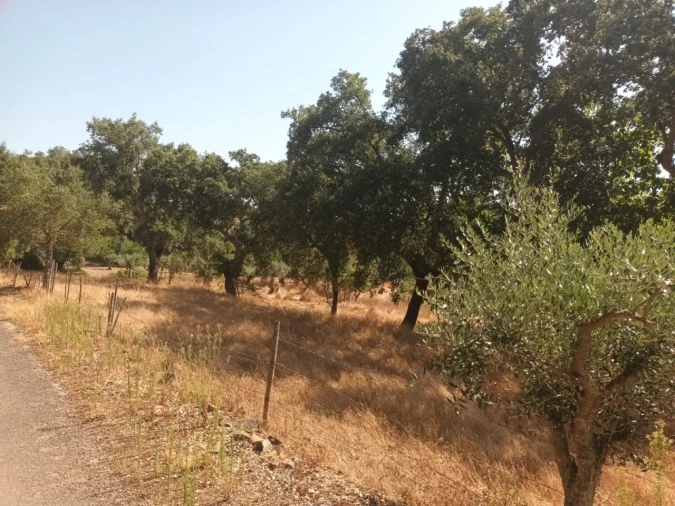 Moradia T4 para Venda em Alegrete Foto 14