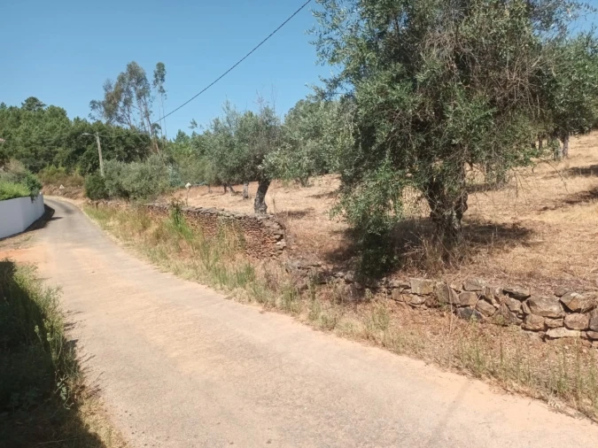 Moradia T4 para Venda em Alegrete Foto 20