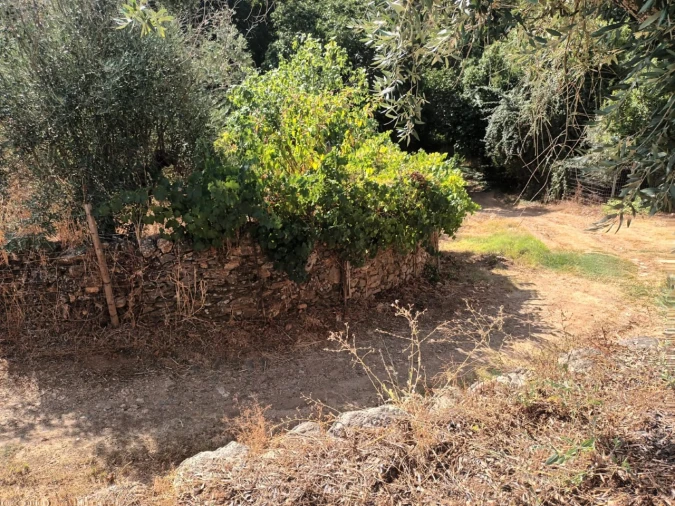 Moradia T4 para Venda em Alegrete Foto 25