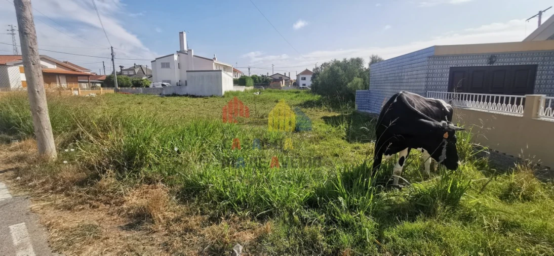 Terreno para Venda em Murtosa Foto 10